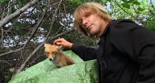 Timothy Treadwell and his fox