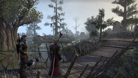 Elder Scrolls Online screenshot